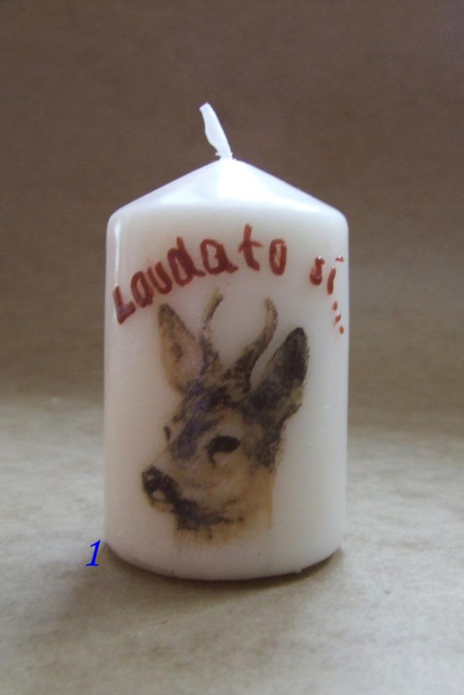 „Laudato si” gyertyák